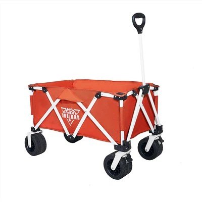 Hepsi Bir Arada Plaj Arabası